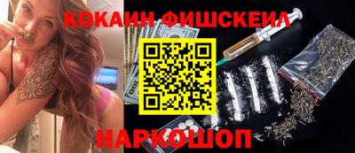 индика Кингисепп