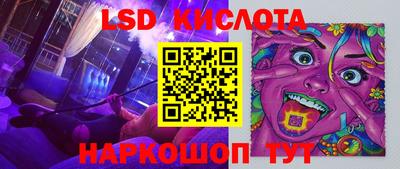 индика Кингисепп