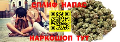 индика Кингисепп