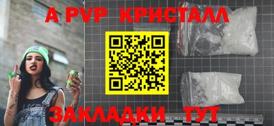 индика Кингисепп