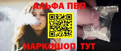 индика Кингисепп