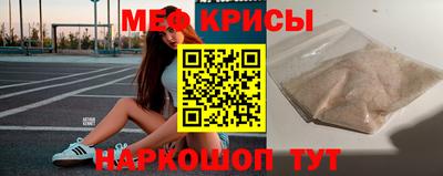 индика Кингисепп