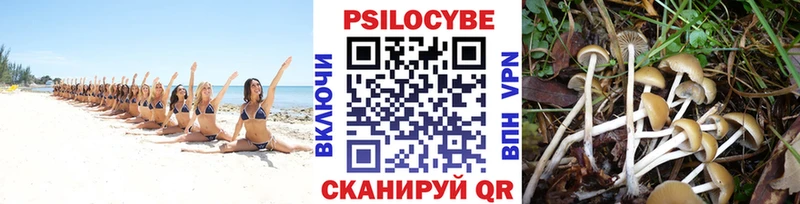 Псилоцибиновые грибы мицелий  Красноярск 