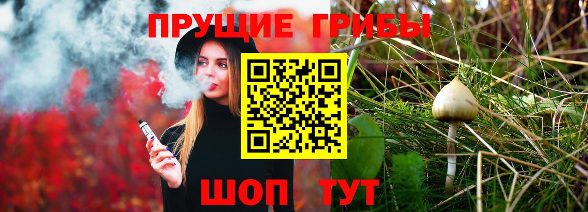 Псилоцибиновые грибы Cubensis Красноярск