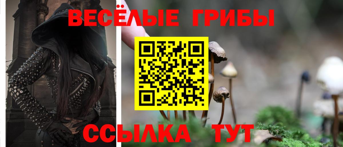 Красноярск  Галлюциногенные грибы Psilocybine cubensis  Вход с VPN  Псилоцибиновые грибы Psilocybe 