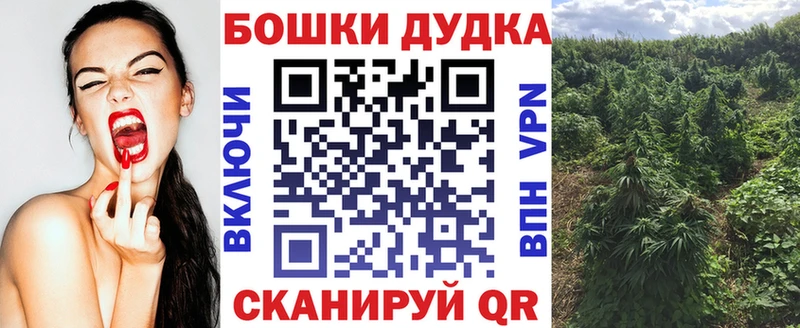 Бошки Шишки MAZAR  Красноярск 